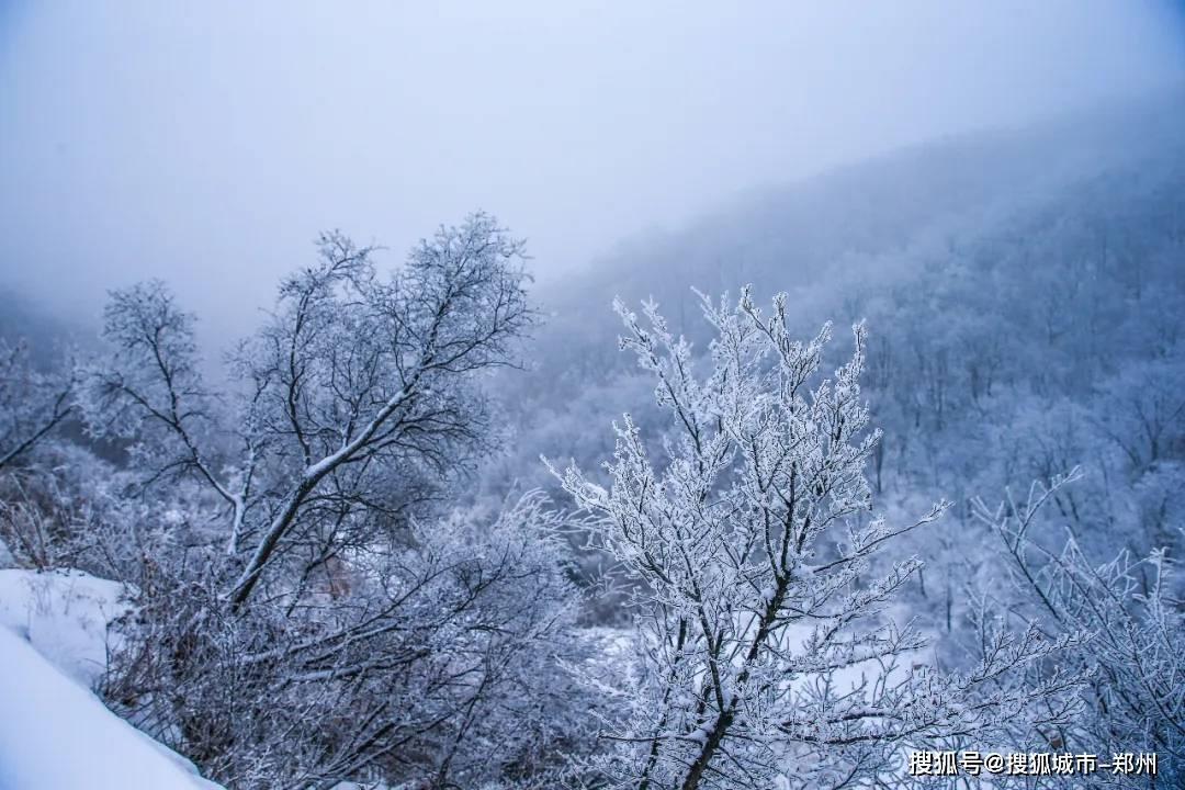 雷竞技比分